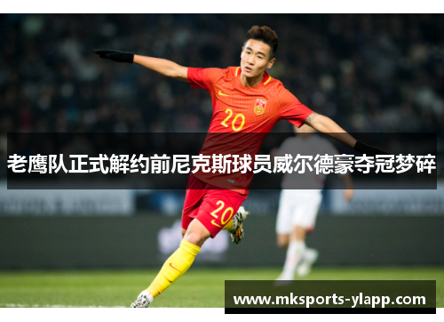 老鹰队正式解约前尼克斯球员威尔德豪夺冠梦碎