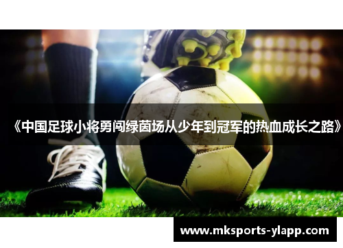 《中国足球小将勇闯绿茵场从少年到冠军的热血成长之路》