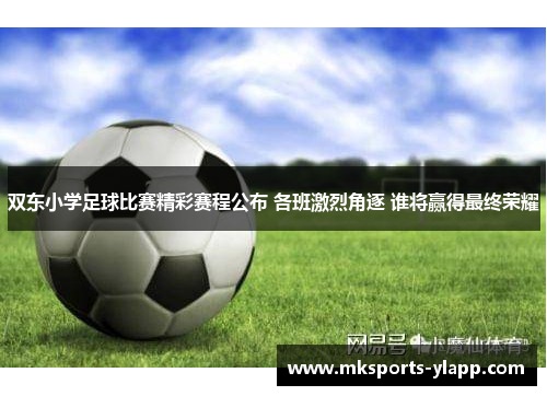 双东小学足球比赛精彩赛程公布 各班激烈角逐 谁将赢得最终荣耀
