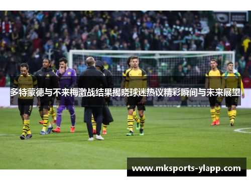 多特蒙德与不来梅激战结果揭晓球迷热议精彩瞬间与未来展望