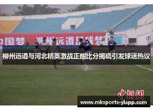 柳州远道与河北精英激战正酣比分揭晓引发球迷热议